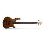 Cort Action Bass PJ OPW