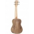 Tanglewood TWT3 Ukulele koncertowe